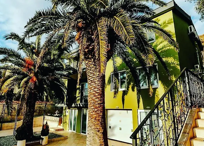 Palm Point Apartment