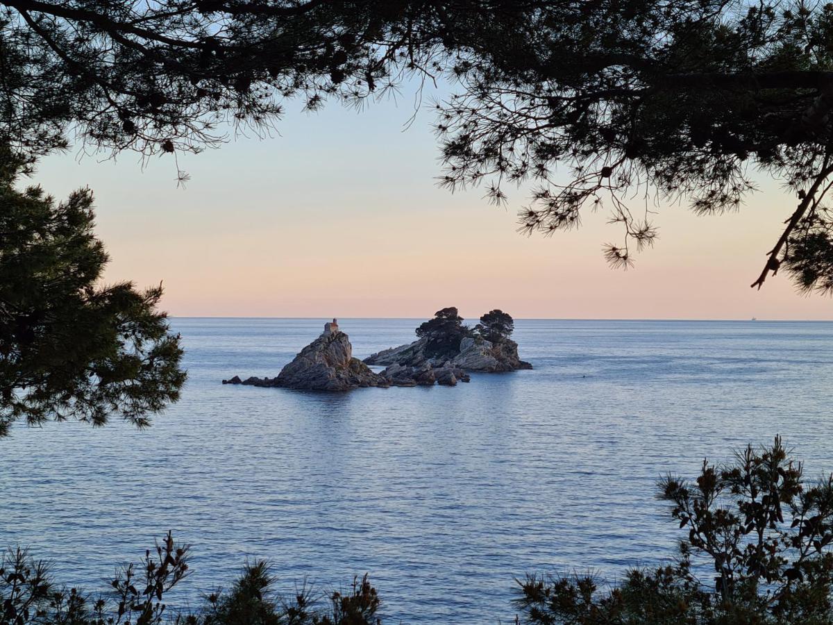 Palm Point Apartment Petrovac