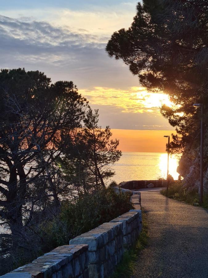Palm Point Petrovac