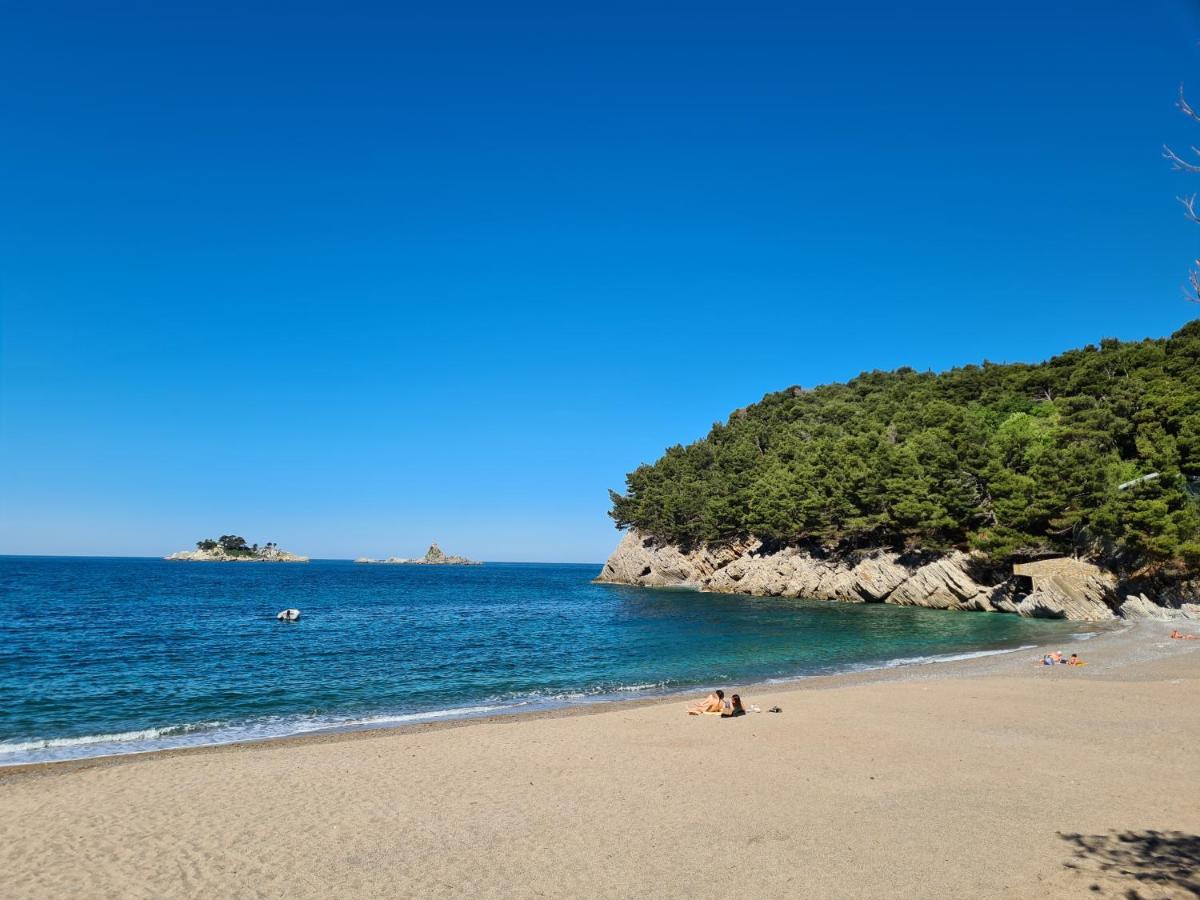 Apartment Palm Point Petrovac