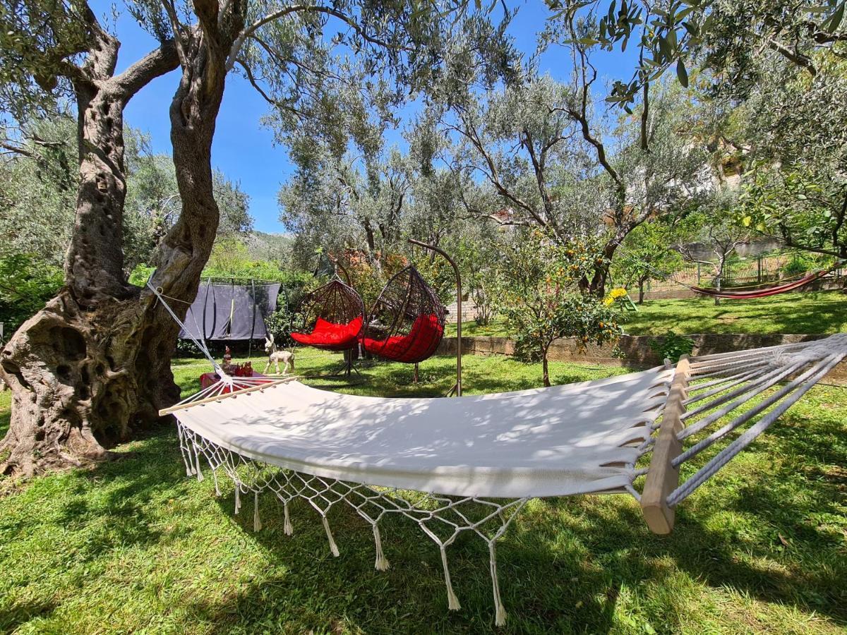 Apartman Palm Point